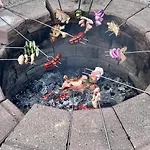Rozi Garden Badacsony Affittacamere *