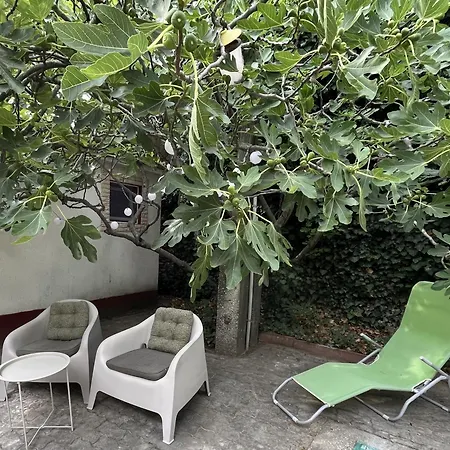 Πανσιόν Rozi Garden Vendeghaz Badacsony Badacsonytomaj