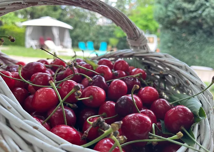 בית הארחה Rozi Garden Vendeghaz Badacsony בדקסוניטומאי